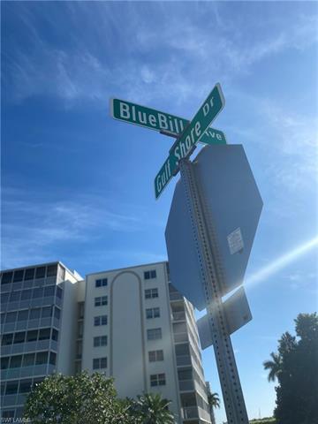 1 Bluebill Ave 411